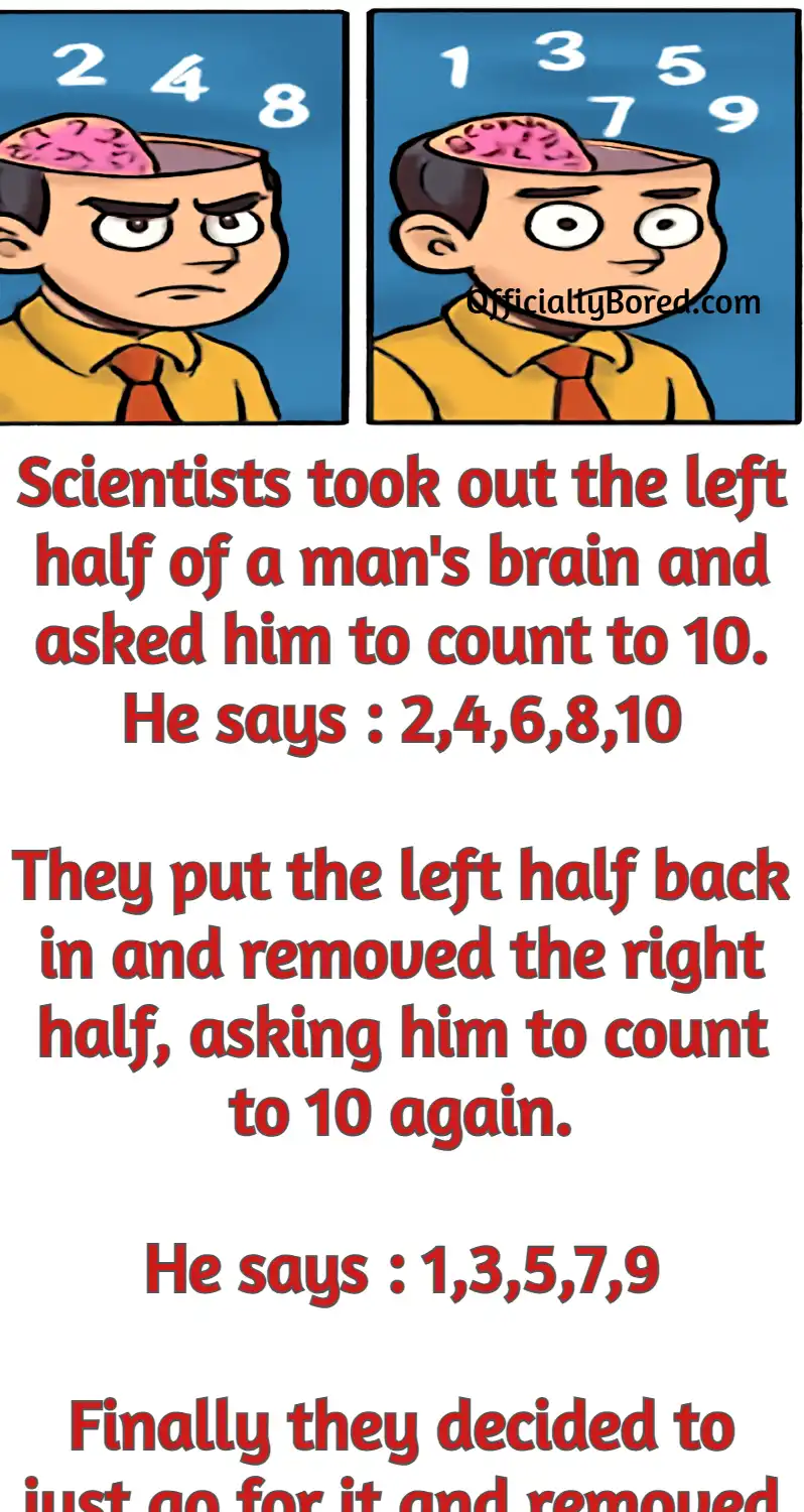 scientist left right brain removal joke